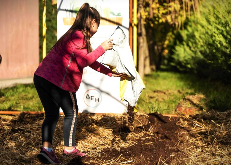 Βιώσιμη γεωργία στα σχολεία με πρωτοβουλία ΔΕΗ και Open Farm