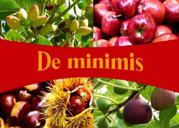 De minimis: Σε ΦΕΚ οι αποζημιώσεις για θεομηνίες και καταστροφές – Οι δικαιούχοι