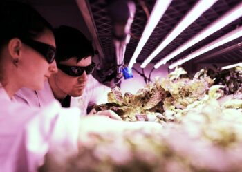 Αγροδιατροφή: 135 εκατ. ευρώ για τη μεταποίηση αγροτικών προϊόντων