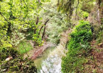 Νέα χρηματοδότηση για μονοπάτια και διαδρομές πεζοπορίας: Σε ποιες περιοχές