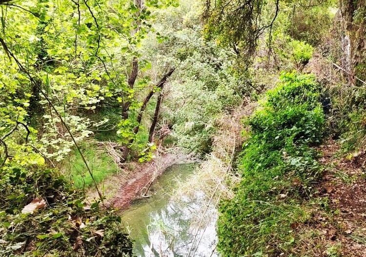 Νέα χρηματοδότηση για μονοπάτια και διαδρομές πεζοπορίας: Σε ποιες περιοχές