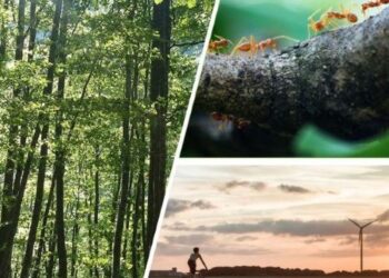 Αύξηση 35,8% στις εκπομπές CO2 από την ηλεκτροπαραγωγή τον Ιανουάριο 2025