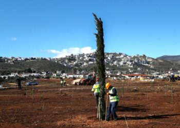 Το Μάτι αλλάζει ριζικά: Αναλυτικά το σχέδιο ανασυγκρότησης