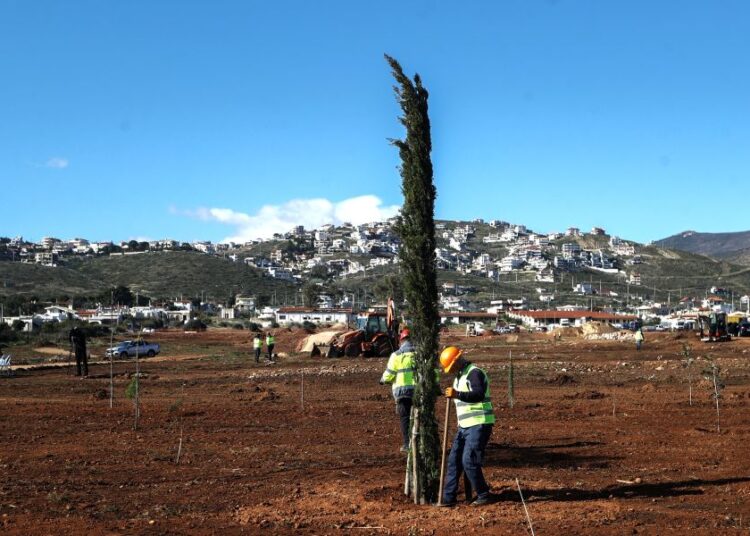 Το Μάτι αλλάζει ριζικά: Αναλυτικά το σχέδιο ανασυγκρότησης