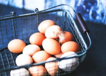 ΗΠΑ σε Ευρώπη: «Στείλτε μας αυγά» – Η γρίπη των πτηνών εκτοξεύει τις τιμές