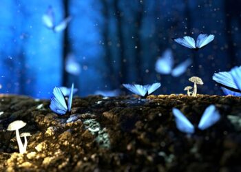 Mega project για τα δάση:  Τα νέα υβριδικά σχήματα και οι μεγάλες επενδύσεις