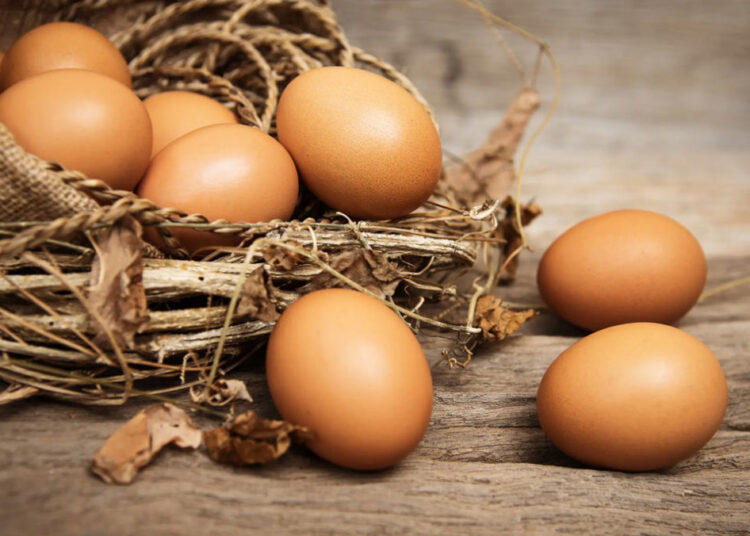 Γρίπη των πτηνών: Με εισαγωγές αβγών από Τουρκία και Νότια Κορέα θα καλύψουν οι ΗΠΑ τις ελλείψεις