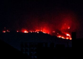 Σε εξέλιξη φωτιά στο Μαρμάρι Ευβοίας – Επί ποδός οι αρχές