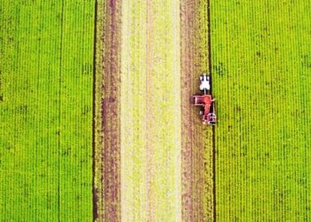 Η Ελλάδα στη μάχη για «πράσινα» χωράφια – Τι είναι η γεωργία άνθρακα