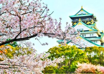 FedHATTA: Από το Ρέθυμνο ως την Ιαπωνία, οι top επιλογές για Πάσχα