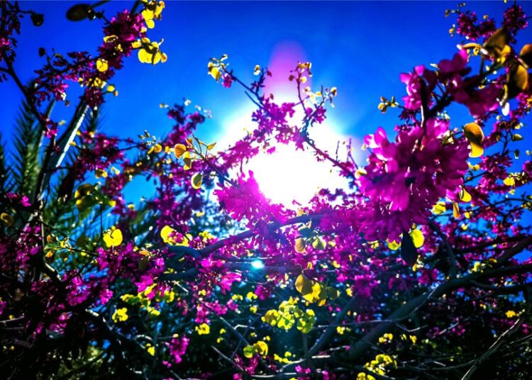 Άνοιξη με… χειμερινά ξεσπάσματα: Ο καιρός μέχρι αρχές Απριλίου