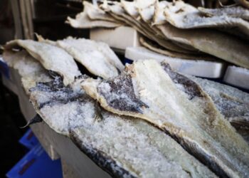 Μπακαλιάρος… «πολυτελείας» ενόψει 25ης Μαρτίου: Πού κυμαίνεται η αγορά