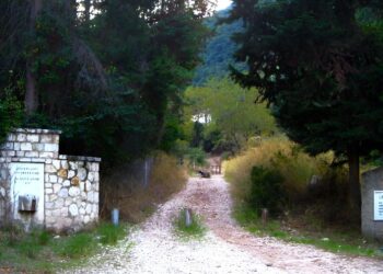 Στο ίχνος του Παλαιών Πατρών Γερμανού: Οδοιπορικό του 1821 στο σήμερα