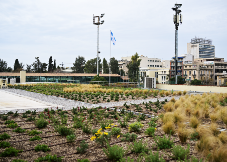 Πράσινες ταράτσες στην Αθήνα: Το πρώτο πιλοτικό δώμα στον Πανελλήνιο (φωτό)