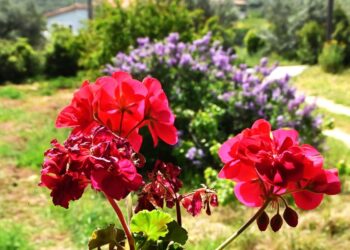 Οι επόμενες αργίες μετά το Πάσχα: Πότε πέφτει η Πρωτομαγιά