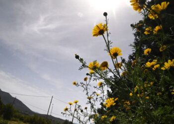 Καιρός με… ανατροπές: Πρόσκαιρη ανάπαυλα και μετά, ξανά καταιγίδες