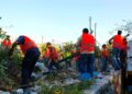 «Καμπανάκι» για τα ακαθάριστα οικόπεδα: Άνοιξε η πλατφόρμα, προθεσμία μέχρι 30 Απριλίου