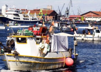 ΥπΑΑΤ: Αποζημιώσεις 15,9 εκατ. ευρώ σε παράκτιους αλιείς για ζημιές από προστατευόμενα είδη