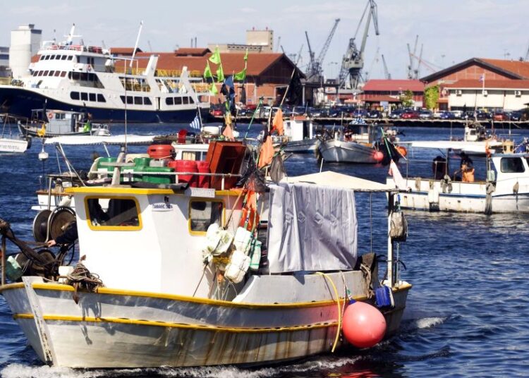 ΥπΑΑΤ: Αποζημιώσεις 15,9 εκατ. ευρώ σε παράκτιους αλιείς για ζημιές από προστατευόμενα είδη