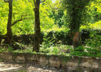 «Ανοιχτές Πόρτες»: Η ανοιξιάτικη γιορτή των οινοποιείων