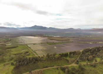 Όμιλος ΔΕΗ: Ξεκινά η δεύτερη φάση κατασκευής του φωτοβολταϊκού πάρκου 490MW στη Μεγαλόπολη