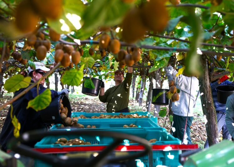 Χιλιάδες Ινδοί εργαζόμενοι «καταφθάνουν» στην Ελλάδα: Έτοιμη η συμφωνία