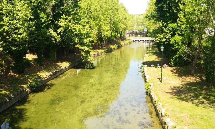 Η ζέστη δεν μας «καίει» όλους το ίδιο: Τι αποκαλύπτει το Πανεπιστήμιο Θεσσαλίας