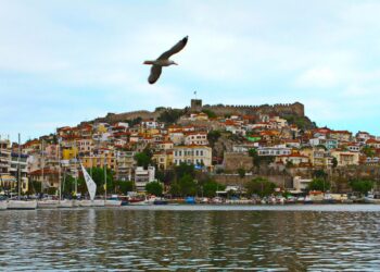 Επενδυτικός μαγνήτης η Θράκη: Ξένοι ακόλουθοι «σκανάρουν» τις ευκαιρίες