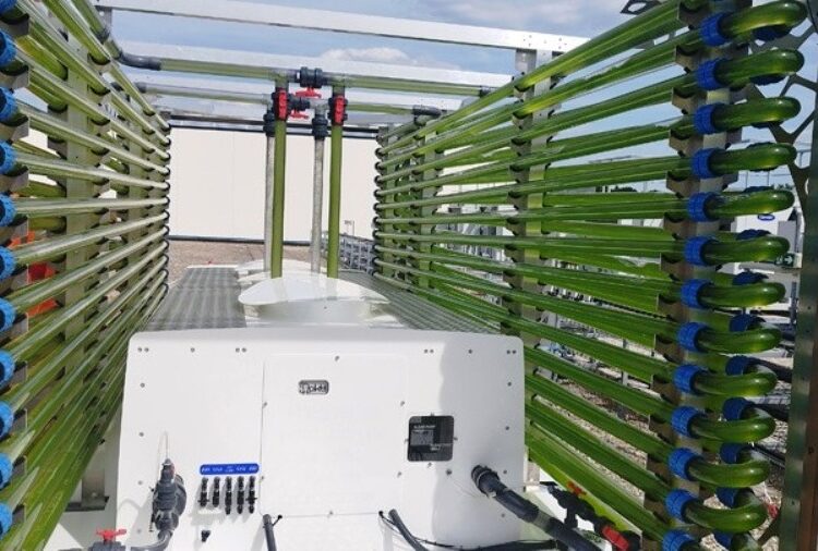 Γαλλία: Καινοτόμο έργο μετατροπής θερμότητας από data centers σε βιομάζα από φύκη παρουσίασαν η Data4 και το Πανεπιστήμιο Paris-Saclay