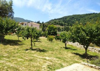 Λειψυδρία: Σήμα κινδύνου για τις αγροτικές καλλιέργειες