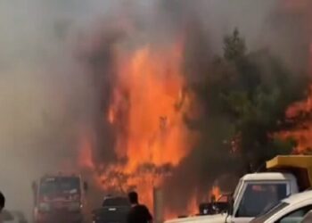 Τουρκία: Μαίνονται τα πύρινα μέτωπα – Τουλάχιστον 77 πυρκαγιές ξέσπασαν την Κυριακή