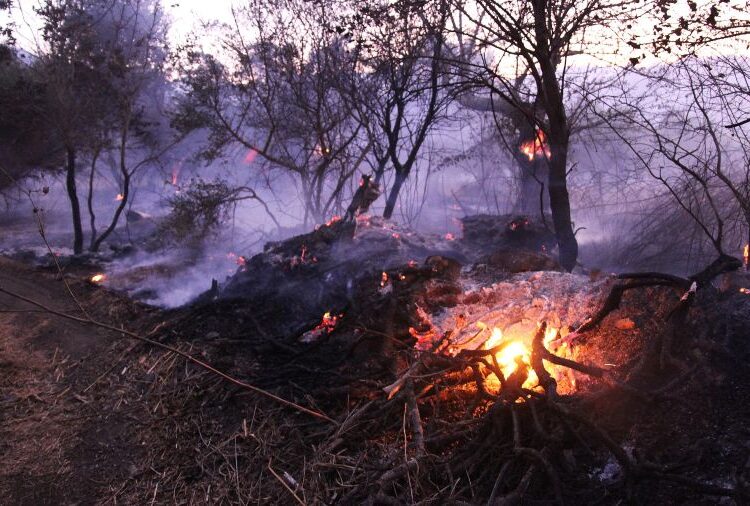 Συλλήψεις για την πυρκαγιά στο Καραβοστάσι Λακωνίας