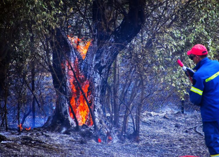 Φωτιά στην Ανάβυσσο: Εκκενώσεις με εντολή 112 – Κινδυνεύουν Παλαιά Φώκαια και οικισμοί
