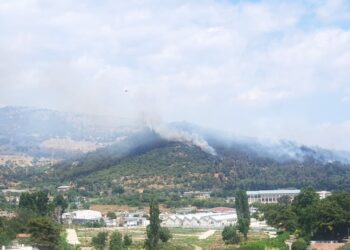 Καβάλα: Υπό έλεγχο η μεγάλη φωτιά – Φόβοι για αναζωπυρώσεις