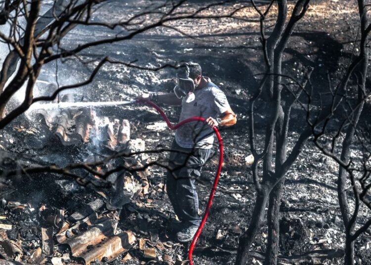Meteo: Καύσωνας και μποφόρ «όπλισαν» τη φωτιά στην Παλαιά Φώκαια