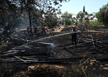 Υπό έλεγχο η πυρκαγιά στην Ανάβυσσο