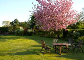 Καθαρισμός οικοπέδων 2025: Πρόστιμα έως 1.000 ευρώ για όσους δεν δηλώσουν