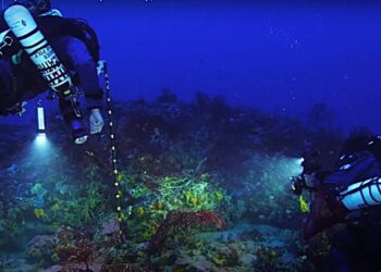 Νομοθετική ασπίδα για τα κοράλλια του Αιγαίου: Στοπ στα συρόμενα αλιευτικά
