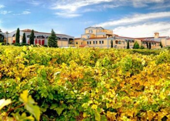 Κτήμα Λαζαρίδη: Η οικογενειακή επανένωση μέσω δημόσιας πρότασης