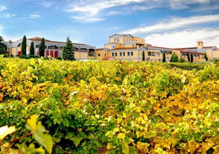 Κτήμα Λαζαρίδη: Η οικογενειακή επανένωση μέσω δημόσιας πρότασης