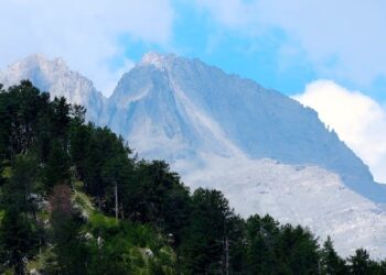 Νεκρός ο πεζοπόρος από επίθεση αρκούδας στο δάσος Φρακτού
