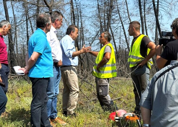 Αυτοψία Παπασταύρου στα αντιδιαβρωτικά και αντιπλημμυρικά έργα στο δάσος της Δαδιάς