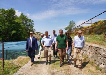 Πάρνηθα: Σε πλήρη εξέλιξη τα έργα αναδάσωσης και δασοπροστασίας