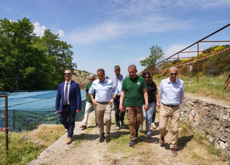 Πάρνηθα: Σε πλήρη εξέλιξη τα έργα αναδάσωσης και δασοπροστασίας