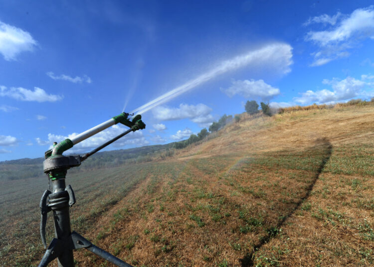 Λειψυδρία: Σήμα κινδύνου για τις αγροτικές καλλιέργειες