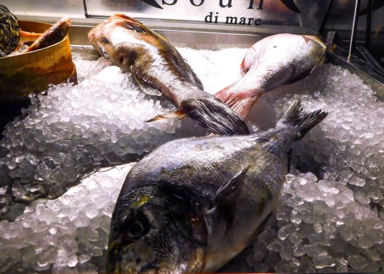 Φρέσκο ψάρι: Γιατί έγινε είδος πολυτελείας στην Ελλάδα