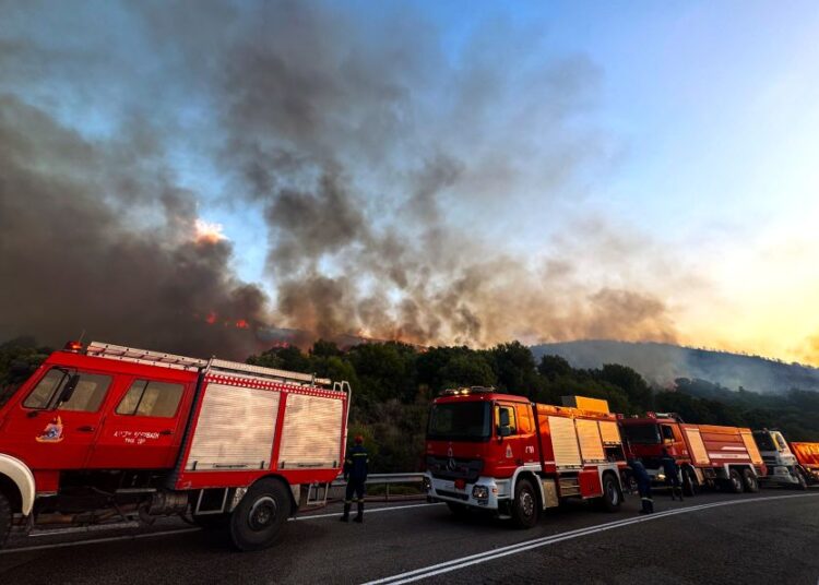 Η Καβάλα σε έκτακτη ανάγκη: Μεγάλη φωτιά τώρα στην Άσπρη Άμμο