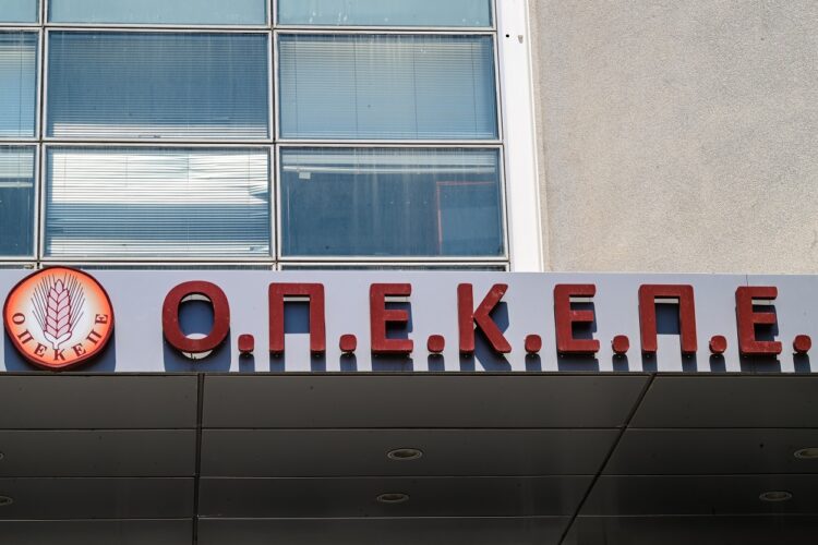 Τι ακριβώς σημαίνουν τα αρχικά του ΟΠΕΚΕΠΕ;