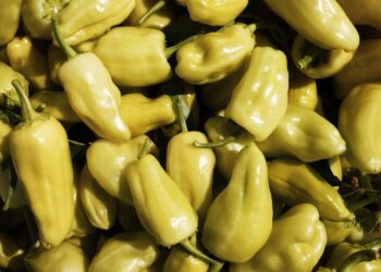 Ανάκληση παρτίδας τουρσί από τον ΕΦΕΤ: Προσοχή σε αλλεργιογόνα συστατικά