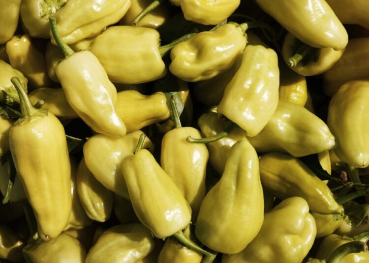 Ανάκληση παρτίδας τουρσί από τον ΕΦΕΤ: Προσοχή σε αλλεργιογόνα συστατικά